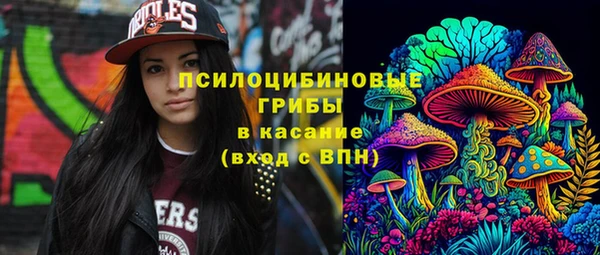 PSILOCYBIN Дмитров