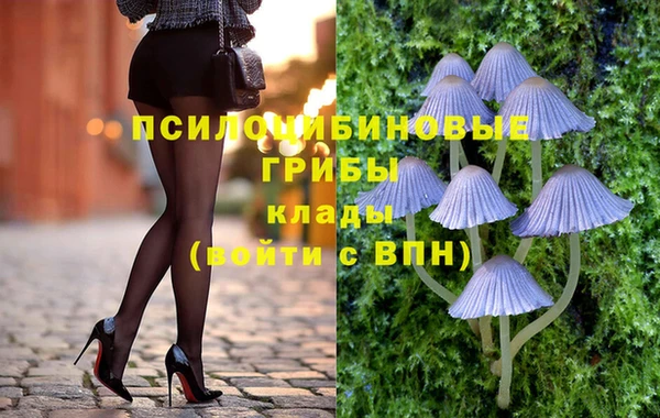 PSILOCYBIN Дмитров