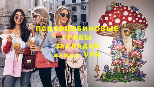 PSILOCYBIN Дмитров
