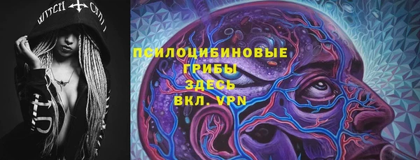 PSILOCYBIN Дмитров